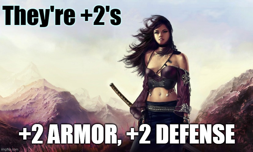 Warrior woman | They're +2's +2 ARMOR, +2 DEFENSE | image tagged in warrior woman | made w/ Imgflip meme maker