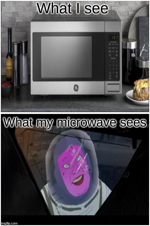 Blank Comic Panel 1x2 | What I see; What my microwave sees | image tagged in memes,blank comic panel 1x2 | made w/ Imgflip meme maker