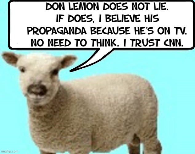 How is it possible CNN has Viewers? | DON LEMON DOES NOT LIE. IF DOES, I BELIEVE HIS PROPAGANDA BECAUSE HE'S ON TV. NO NEED TO THINK. I TRUST CNN. | image tagged in vince vance,don lemon,propaganda,cnn fake news,sheeple,political memes | made w/ Imgflip meme maker