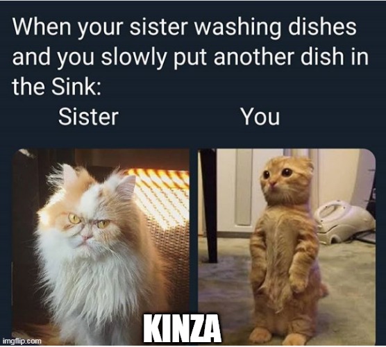 Sisiter love | KINZA | image tagged in sisters | made w/ Imgflip meme maker