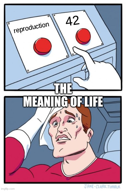 the meaning of life | 42; reproduction; THE MEANING OF LIFE | image tagged in memes,two buttons | made w/ Imgflip meme maker