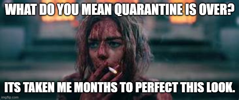 quarantine | WHAT DO YOU MEAN QUARANTINE IS OVER? ITS TAKEN ME MONTHS TO PERFECT THIS LOOK. | image tagged in if you look at it like this | made w/ Imgflip meme maker