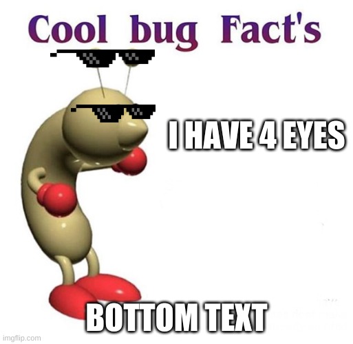 Cool Bug Facts | I HAVE 4 EYES; BOTTOM TEXT | image tagged in cool bug facts | made w/ Imgflip meme maker