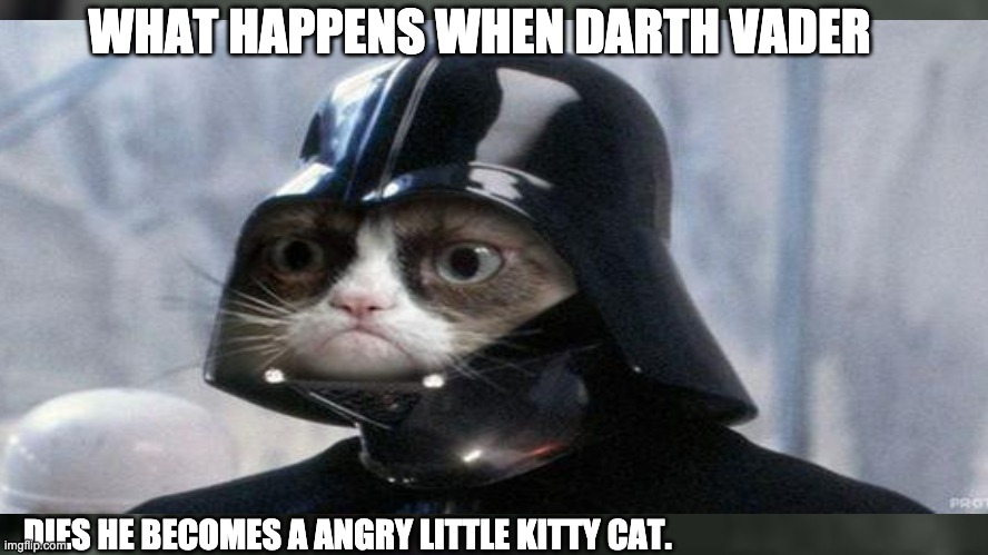 grumpy space cat star wars | WHAT HAPPENS WHEN DARTH VADER; DIES HE BECOMES A ANGRY LITTLE KITTY CAT. | image tagged in grumpy cat star wars | made w/ Imgflip meme maker
