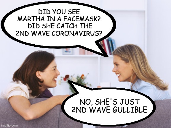 Some people will believe anything | DID YOU SEE MARTHA IN A FACEMASK?  DID SHE CATCH THE 2ND WAVE CORONAVIRUS? NO, SHE'S JUST 2ND WAVE GULLIBLE | image tagged in coronavirus | made w/ Imgflip meme maker