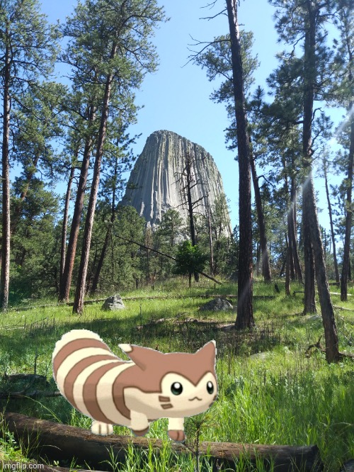 Furret discovers Devil's Tower | image tagged in pokemon | made w/ Imgflip meme maker