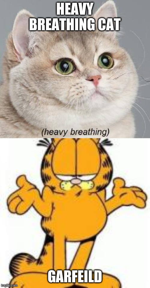 HEAVY BREATHING CAT GARFEILD | image tagged in memes,heavy breathing cat | made w/ Imgflip meme maker