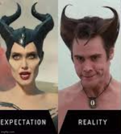 reality | image tagged in reality | made w/ Imgflip meme maker