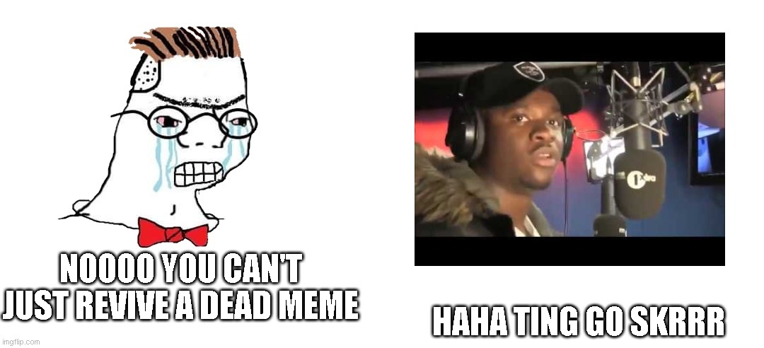 You Can't Just | NOOOO YOU CAN'T JUST REVIVE A DEAD MEME; HAHA TING GO SKRRR | image tagged in you can't just | made w/ Imgflip meme maker