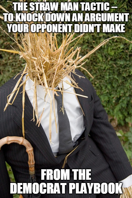 Straw Man Tactic | THE STRAW MAN TACTIC -- 
TO KNOCK DOWN AN ARGUMENT YOUR OPPONENT DIDN'T MAKE; FROM THE DEMOCRAT PLAYBOOK | image tagged in straw man,argument,opponent,knock down,democrat,playbook | made w/ Imgflip meme maker