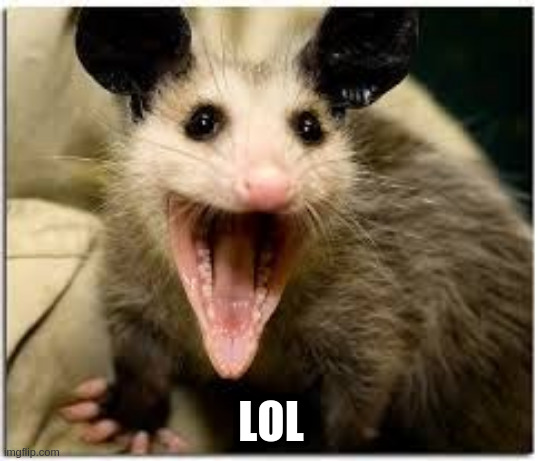 opossum | LOL | image tagged in opossum | made w/ Imgflip meme maker