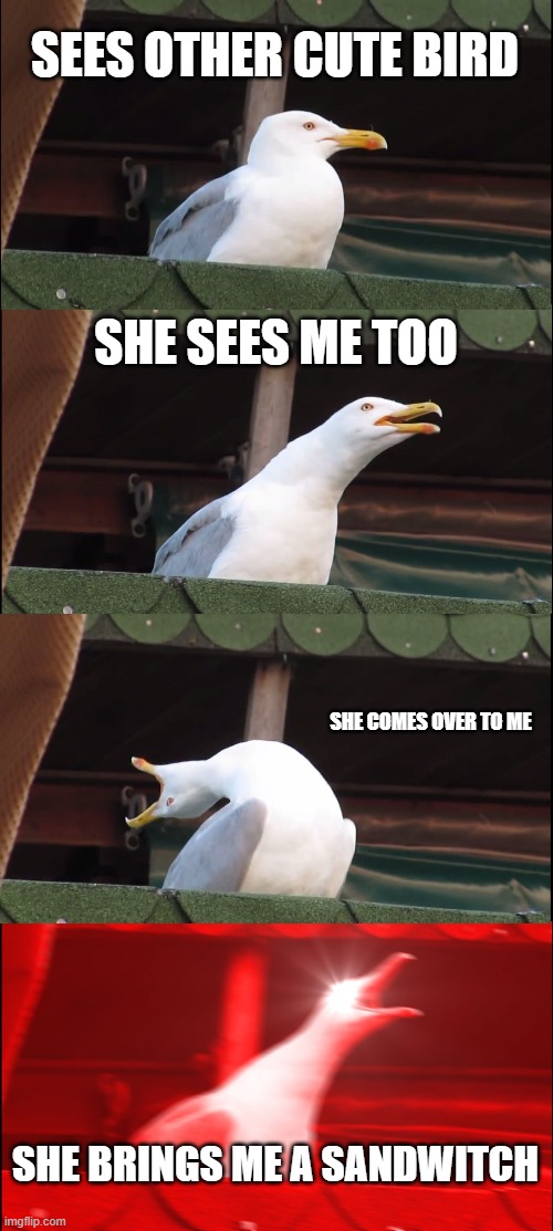 Inhaling Seagull | SEES OTHER CUTE BIRD; SHE SEES ME TOO; SHE COMES OVER TO ME; SHE BRINGS ME A SANDWITCH | image tagged in memes,inhaling seagull | made w/ Imgflip meme maker