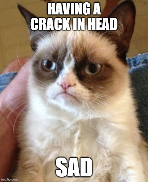 Grumpy Cat | HAVING A CRACK IN HEAD; SAD | image tagged in memes,grumpy cat | made w/ Imgflip meme maker