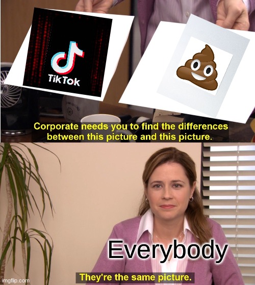 They're The Same Picture | Everybody | image tagged in memes,they're the same picture | made w/ Imgflip meme maker