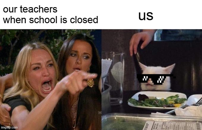 Woman Yelling At Cat | our teachers when school is closed; us | image tagged in memes,woman yelling at cat | made w/ Imgflip meme maker