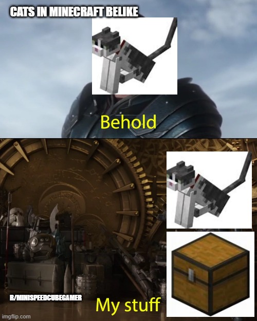 Behold my stuff | CATS IN MINECRAFT BELIKE; R/MINISPEEDCUBEGAMER | image tagged in behold my stuff | made w/ Imgflip meme maker
