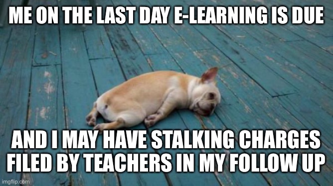 E-learning end | ME ON THE LAST DAY E-LEARNING IS DUE; AND I MAY HAVE STALKING CHARGES FILED BY TEACHERS IN MY FOLLOW UP | image tagged in tired dog | made w/ Imgflip meme maker
