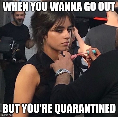 Camila cabello meme | WHEN YOU WANNA GO OUT; BUT YOU'RE QUARANTINED | image tagged in funny | made w/ Imgflip meme maker