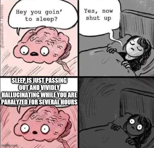 waking up brain | SLEEP IS JUST PASSING OUT AND VIVIDLY HALLUCINATING WHILE YOU ARE PARALYZED FOR SEVERAL HOURS | image tagged in waking up brain | made w/ Imgflip meme maker