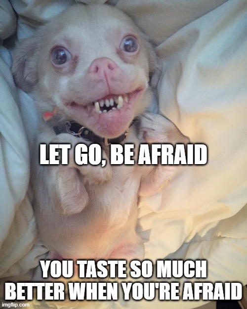 LET GO, BE AFRAID; YOU TASTE SO MUCH BETTER WHEN YOU'RE AFRAID | made w/ Imgflip meme maker