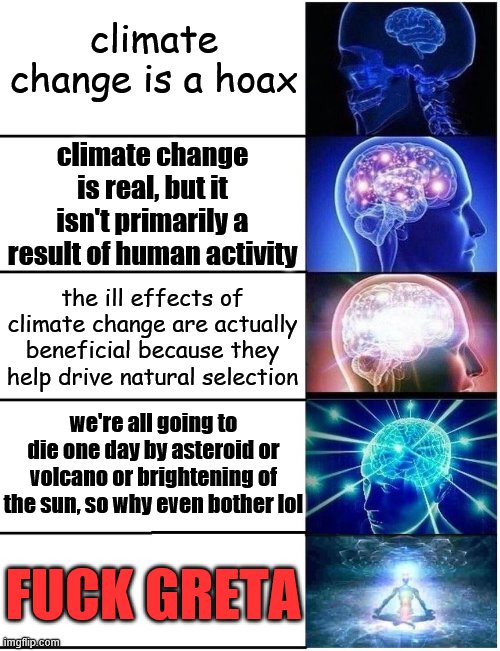 yeah this is big brain time | climate change is a hoax; climate change is real, but it isn't primarily a result of human activity; the ill effects of climate change are actually beneficial because they help drive natural selection; we're all going to die one day by asteroid or volcano or brightening of the sun, so why even bother lol; FUCK GRETA | image tagged in expanding brain 5 panel,climate change,global warming,greta thunberg,greta,ecofascist greta thunberg | made w/ Imgflip meme maker