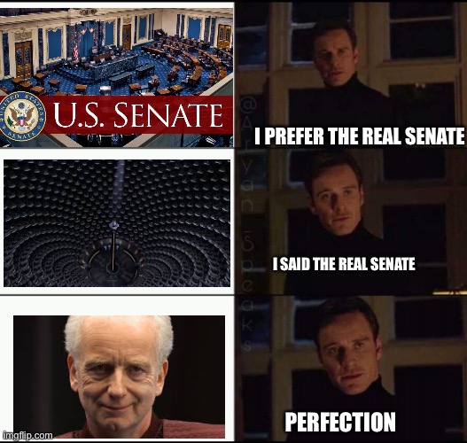  I PREFER THE REAL SENATE; I SAID THE REAL SENATE; PERFECTION; PERFECTION | image tagged in senate | made w/ Imgflip meme maker