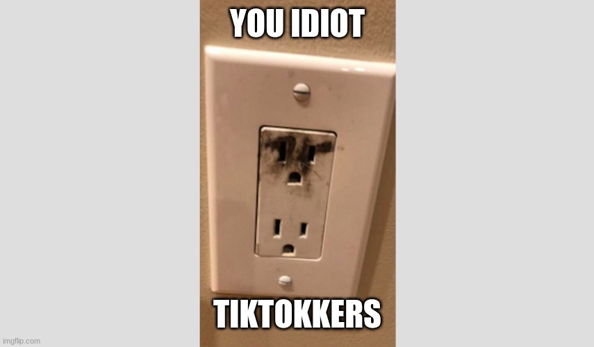 you IDIOT | YOU IDIOT; TIKTOKKERS | image tagged in memes | made w/ Imgflip meme maker