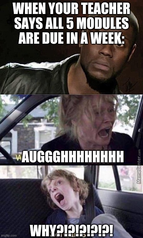 WHY?!?!?! | WHEN YOUR TEACHER SAYS ALL 5 MODULES ARE DUE IN A WEEK:; AUGGGHHHHHHHH; WHY?!?!?!?!?! | image tagged in memes,kevin hart,why can't you just be normal,schoolwork,i is buried in workkkkk,halp | made w/ Imgflip meme maker