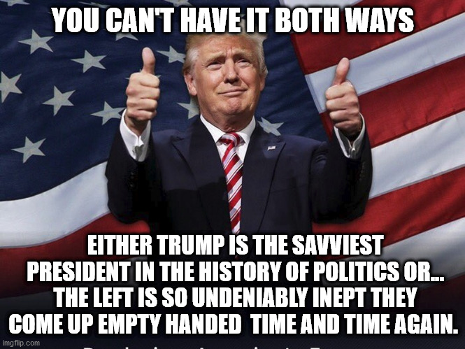 Trump 2020 | YOU CAN'T HAVE IT BOTH WAYS; EITHER TRUMP IS THE SAVVIEST PRESIDENT IN THE HISTORY OF POLITICS OR... THE LEFT IS SO UNDENIABLY INEPT THEY COME UP EMPTY HANDED  TIME AND TIME AGAIN. | image tagged in donald trump thumbs up | made w/ Imgflip meme maker
