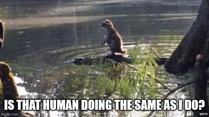 IS THAT HUMAN DOING THE SAME AS I DO? | made w/ Imgflip meme maker