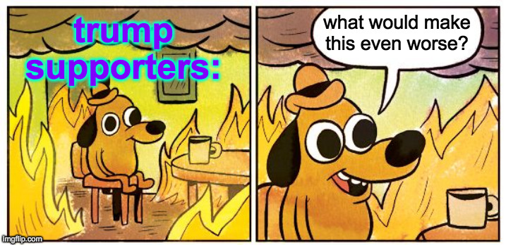 This template should be renamed 'trump supporters'  ( : | what would make
this even worse? trump supporters: | image tagged in memes,this is fine,trump supporters,it has been remade | made w/ Imgflip meme maker