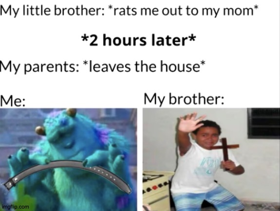 Me and my brother... | image tagged in monsters inc,me and my brother,meme | made w/ Imgflip meme maker