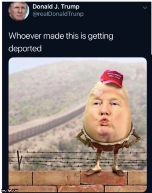 Egg trump | image tagged in egg trump,memes,funny | made w/ Imgflip meme maker