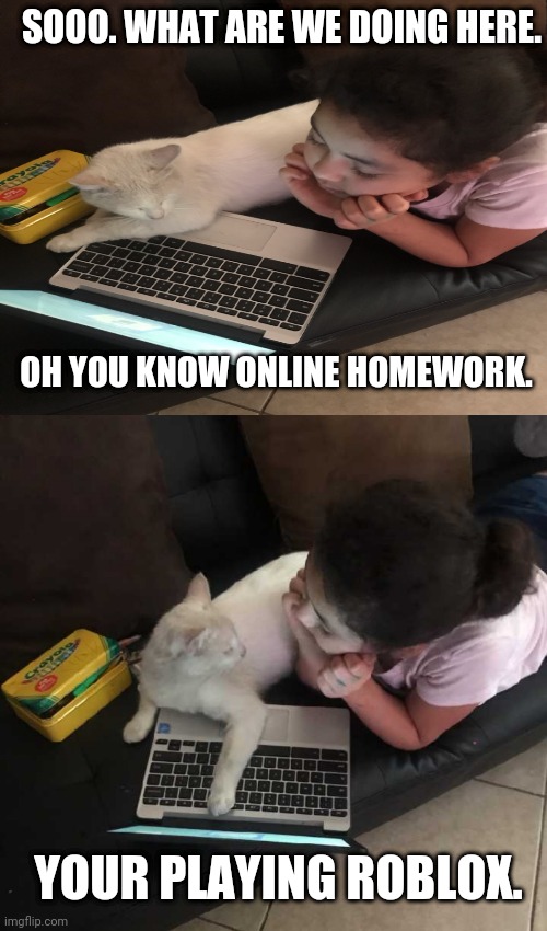 SOOO. WHAT ARE WE DOING HERE. OH YOU KNOW ONLINE HOMEWORK. YOUR PLAYING ROBLOX. | image tagged in memes,good fellas hilarious | made w/ Imgflip meme maker