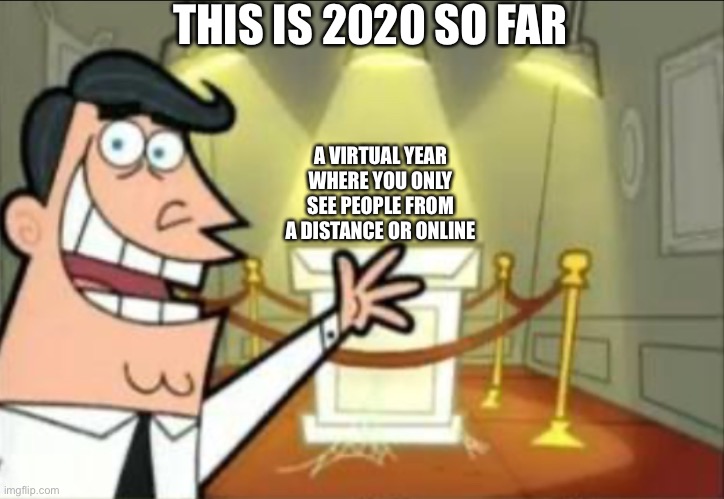 Trophy | THIS IS 2020 SO FAR; A VIRTUAL YEAR WHERE YOU ONLY SEE PEOPLE FROM A DISTANCE OR ONLINE | image tagged in trophy | made w/ Imgflip meme maker