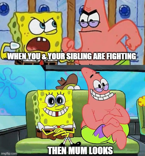 WHEN YOU & YOUR SIBLING ARE FIGHTING; THEN MUM LOOKS | made w/ Imgflip meme maker