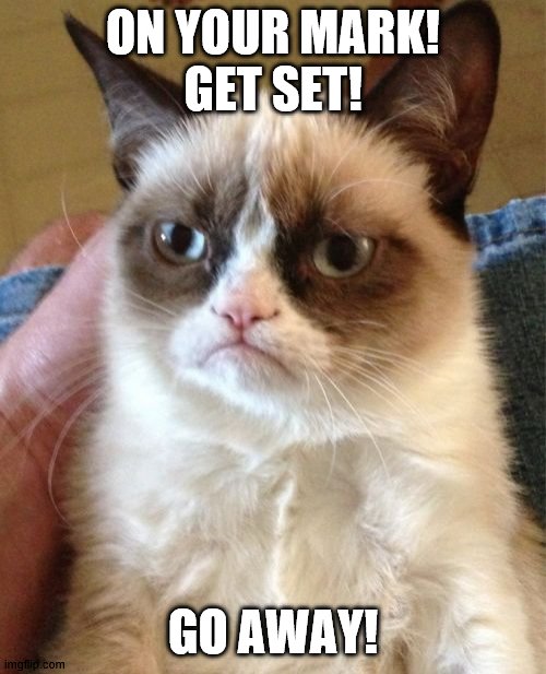 Grumpy Cat Meme | ON YOUR MARK!
GET SET! GO AWAY! | image tagged in memes,grumpy cat | made w/ Imgflip meme maker