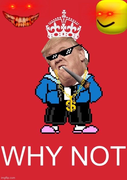 Why not | WHY NOT | image tagged in yeet | made w/ Imgflip meme maker