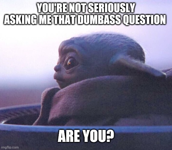 Baby Yoda Side Eye | YOU'RE NOT SERIOUSLY ASKING ME THAT DUMBASS QUESTION; ARE YOU? | image tagged in baby yoda side eye | made w/ Imgflip meme maker