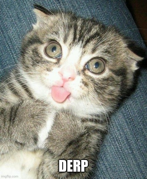 DERP FACE | DERP | image tagged in derp,cats | made w/ Imgflip meme maker