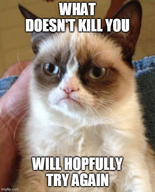Grumpy Cat | WHAT DOESN'T KILL YOU; WILL HOPFULLY TRY AGAIN | image tagged in memes,grumpy cat | made w/ Imgflip meme maker