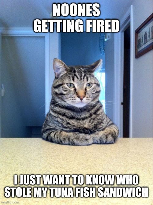 Take A Seat Cat Meme | NOONES GETTING FIRED; I JUST WANT TO KNOW WHO STOLE MY TUNA FISH SANDWICH | image tagged in memes,take a seat cat | made w/ Imgflip meme maker