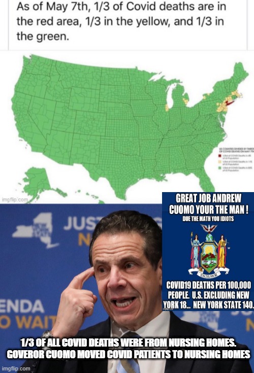 Democrats Caused COVID Deaths In Nursing Homes | 1/3 OF ALL COVID DEATHS WERE FROM NURSING HOMES. GOVEROR CUOMO MOVED COVID PATIENTS TO NURSING HOMES | image tagged in stupid liberals,andrew cuomo,democrats | made w/ Imgflip meme maker