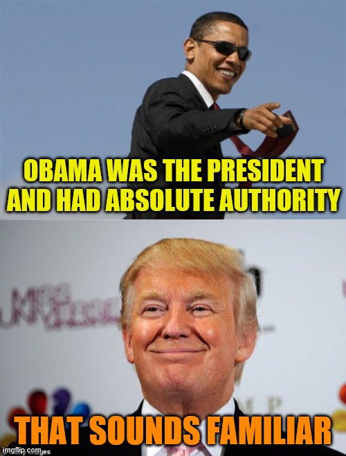 OBAMA WAS THE PRESIDENT AND HAD ABSOLUTE AUTHORITY; THAT SOUNDS FAMILIAR | image tagged in memes,cool obama,donald trump approves | made w/ Imgflip meme maker