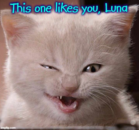 This one likes you, Luna | made w/ Imgflip meme maker