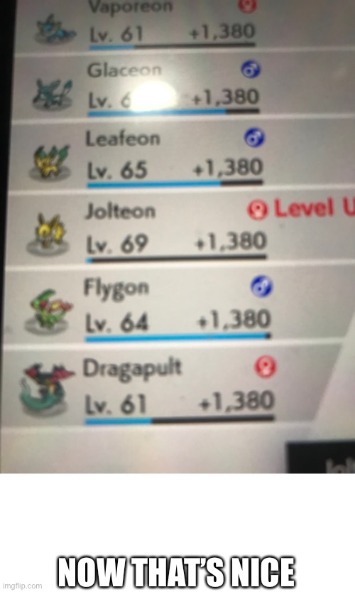 I’m trying to get all of the eeveelutions and this happened | NOW THAT’S NICE | image tagged in pokemon | made w/ Imgflip meme maker
