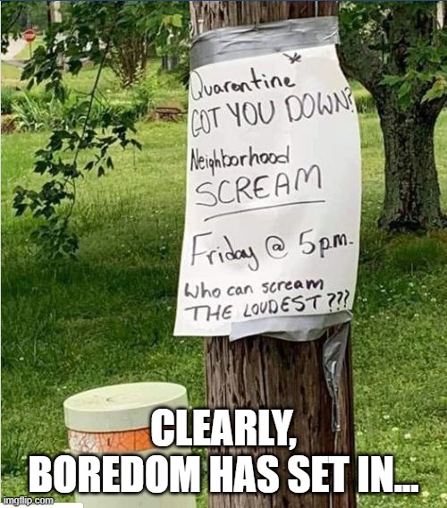 SCREAM REAL LOUD | CLEARLY, BOREDOM HAS SET IN... | image tagged in scream | made w/ Imgflip meme maker