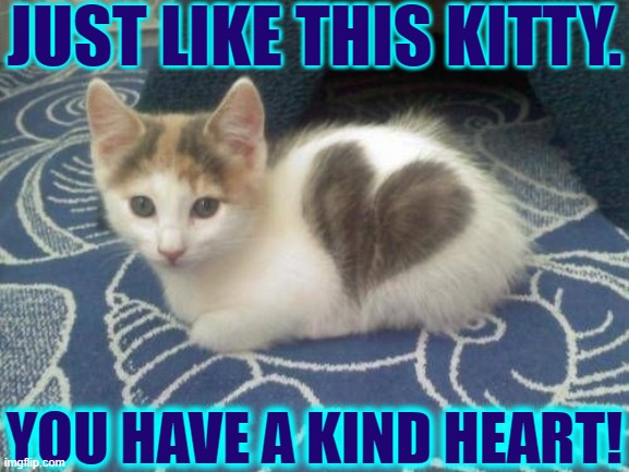 Aw! How Cute! | JUST LIKE THIS KITTY. YOU HAVE A KIND HEART! | image tagged in vince vance,cats,cute kitty,heart,funny cat memes,kittens | made w/ Imgflip meme maker