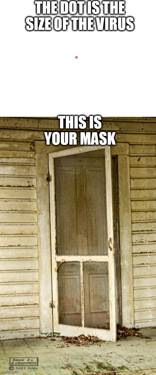 THE DOT IS THE SIZE OF THE VIRUS; THIS IS YOUR MASK | image tagged in blank white template,screen door | made w/ Imgflip meme maker