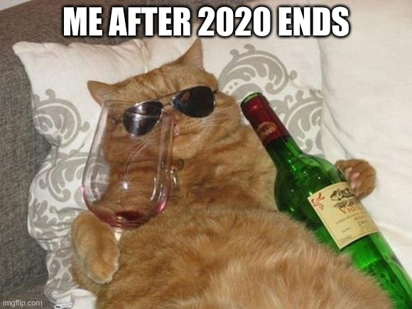 Funny Cat Birthday | ME AFTER 2020 ENDS | image tagged in funny cat birthday | made w/ Imgflip meme maker